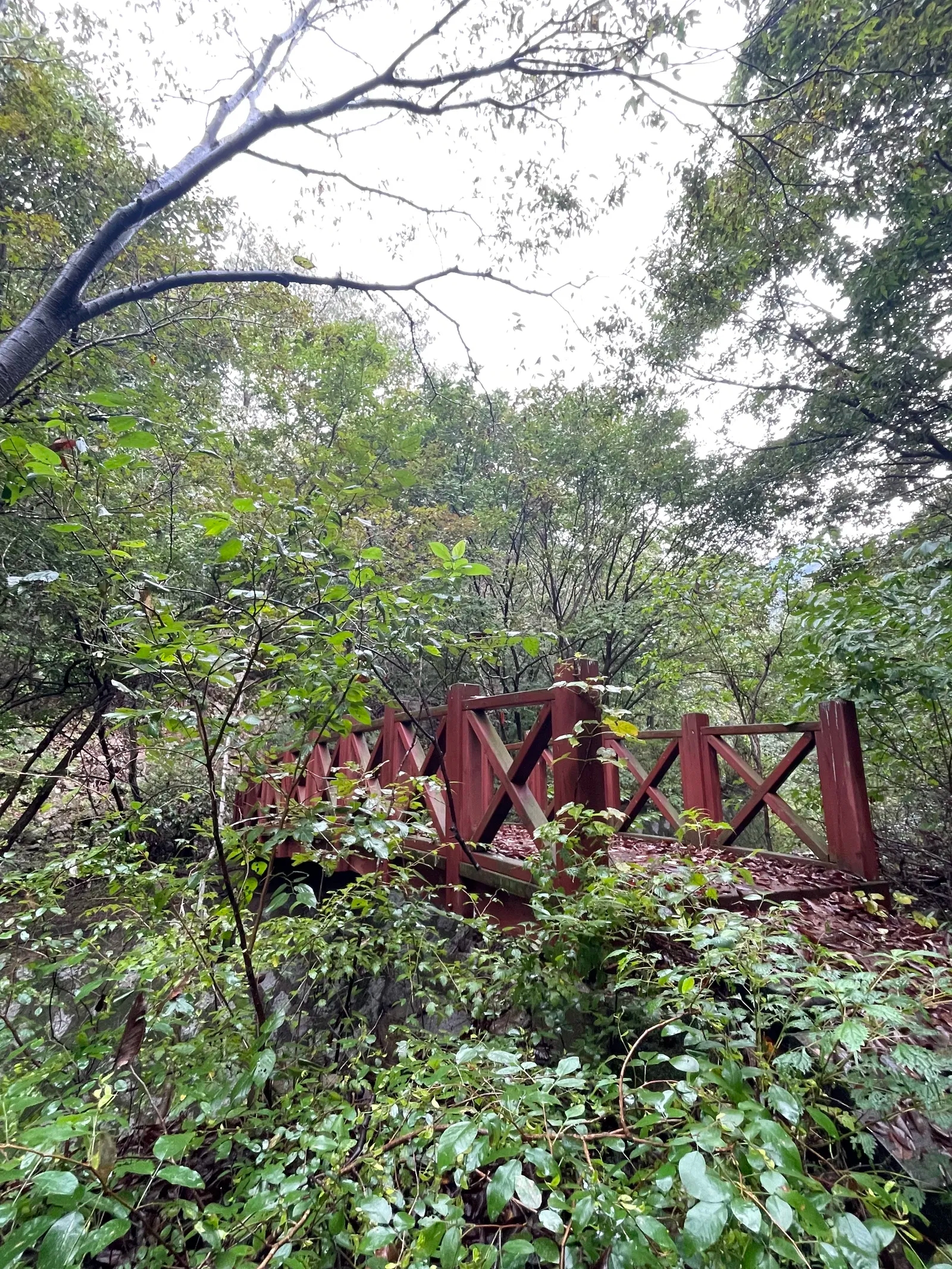 detail_image_undefined