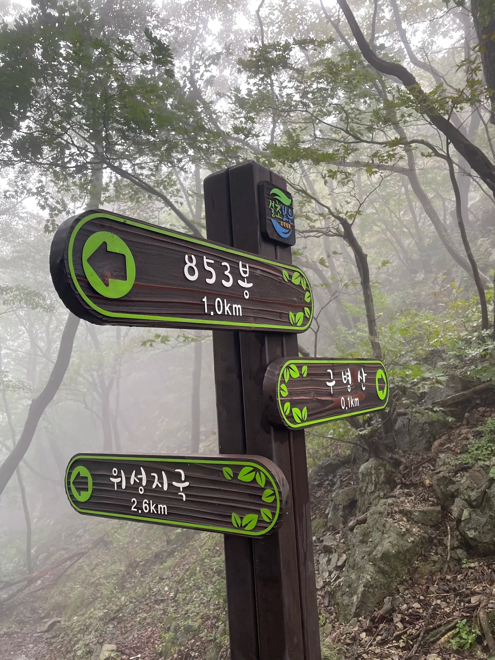 detail_image_undefined